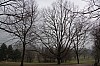 024 - Castel San Pietro Terme