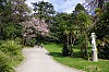 013 - Reggia di Caserta - Giardini