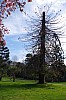 014 - Reggia di Caserta - Giardini