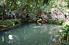 027 - Reggia di Caserta - Giardini