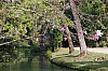 033 - Reggia di Caserta - Giardini