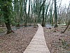 005 - Lago Sirino
