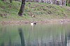 025 - Lago Sirino