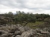 64 - Veglia