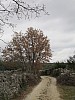 65 - Veglia