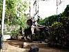 24 - Parque Central - Don Chisciotte