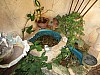 Casa Su casa en Cuba - 05