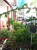 52 - Cienfuegos - Casa particular