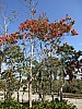 10 - Santa Clara - Memoriale Comandante Che Guevara