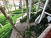 03 - Las Terrazas