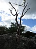 13 - Las Terrazas