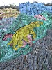 IMG_1949