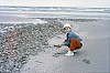 005 - Romo - Stefano in spiaggia