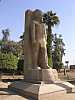 12 - Menfi - Statua di Ramses II