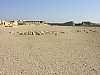 16 - Saqqara - Il cortile del complesso