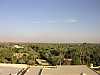 01 - Dintorni del Cairo - Oasi