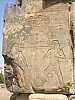 53 - Luxor - Colossi di Memnone