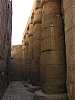 68 - Luxor - Il tempio - Cortile di Ramsete II