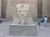 87 - Luxor - Il tempio - La testa el faraone