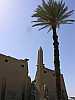 90 - Luxor - Il tempio - Obelisco e I° pilone