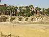 91 - Luxor - Il tempio - Il viale delle sfingi