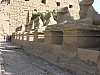 01 - Karnak - Tempio di Amon - Viale processionale delle sfingi