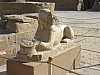 04 - Karnak - Tempio di Amon - Sfinge