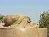 29 - Karnak - Tempio di Amon - Statua dello scarabeo