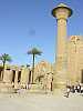 41 - Karnak - Tempio di Amon - Colonna