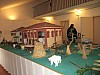 10 - Delizia Estense del Verginese
