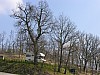 007 - Montecuccolo - Il camper in parcheggio
