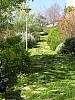 026 - Vigoleno - Il percorso botanico