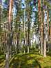 109 - Estonia - Khinu Vaina - Zona umida