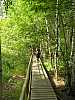 02 - Estonia - Rannametsa - Percorso naturalistico