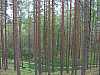 04 - Estonia - Rannametsa - Percorso naturalistico