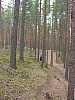 05 - Estonia - Rannametsa - Percorso naturalistico