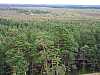 07 - Estonia - Rannametsa - Percorso naturalistico - panorama dalla torre