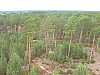 10 - Estonia - Rannametsa - Percorso naturalistico