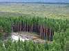 14 - Estonia - Rannametsa - Percorso naturalistico