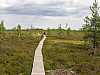 19 - Estonia - Rannametsa - Percorso naturalistico