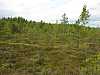 20 - Estonia - Rannametsa - Percorso naturalistico