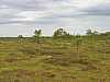 23 - Estonia - Rannametsa - Percorso naturalistico