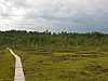 24 - Estonia - Rannametsa - Percorso naturalistico