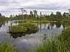27 - Estonia - Rannametsa - Percorso naturalistico