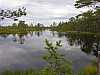 31 - Estonia - Rannametsa - Percorso naturalistico