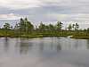 34 - Estonia - Rannametsa - Percorso naturalistico