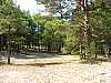 16 - Estonia - Saaremaa - Penisola di Pammana - accesso alla spiaggia