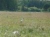 002 - Verso Parnu