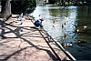 120 - Stefano al Bois di Boulogne