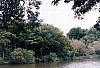 001 - Bretagna - Savenay - Scorci sul fiume